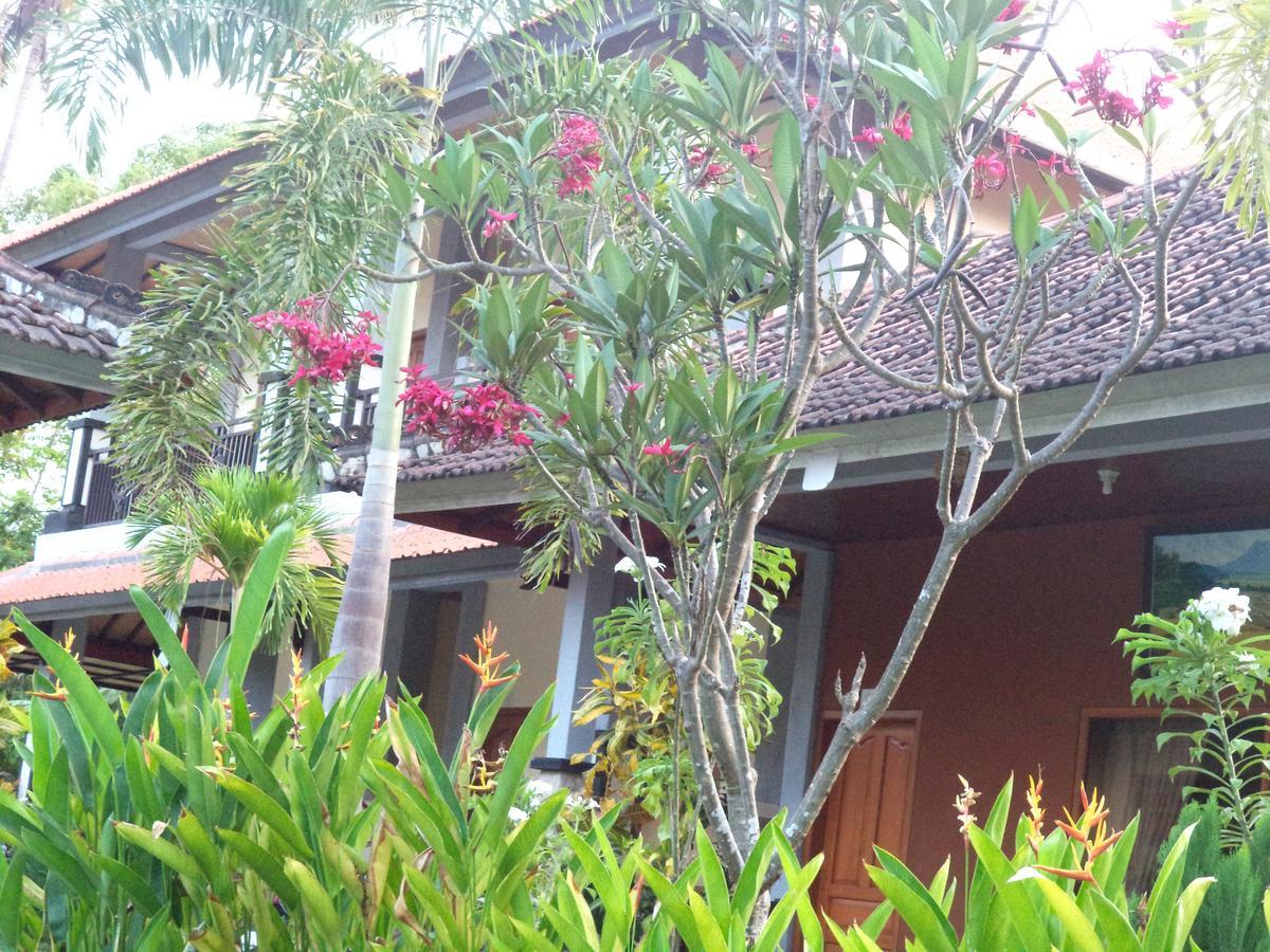 Hotel My Lovina Exterior photo
