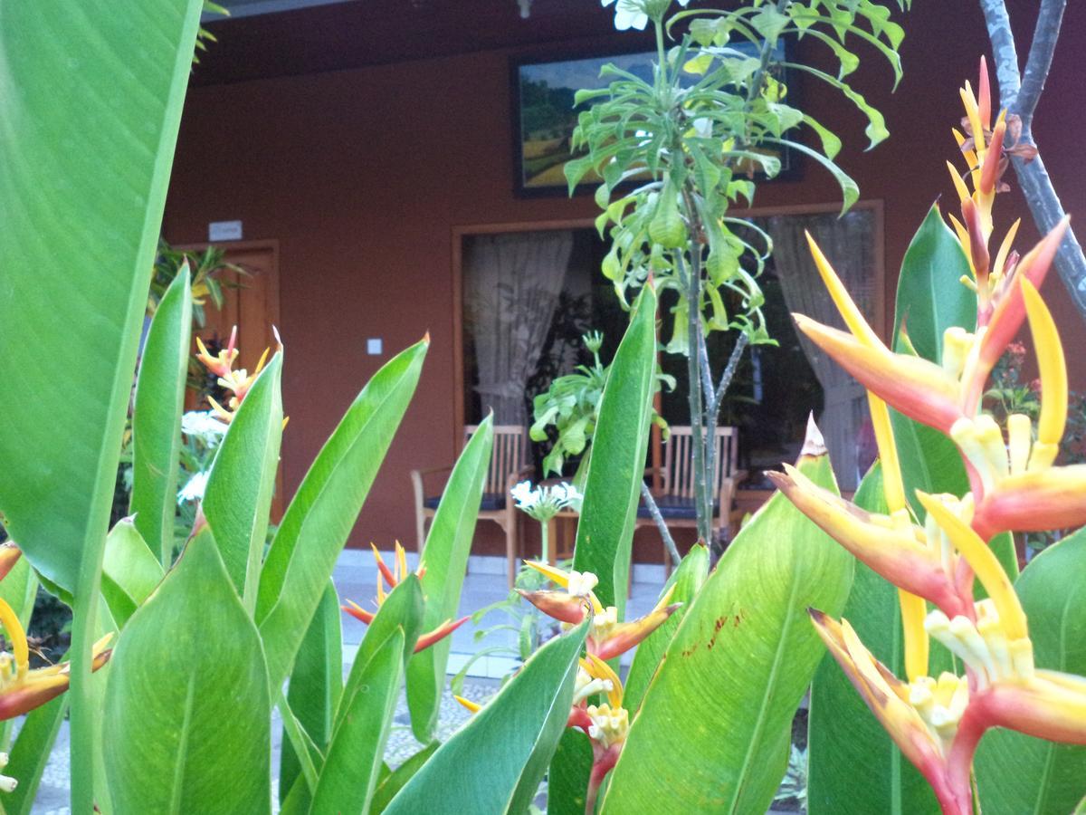 Hotel My Lovina Exterior photo